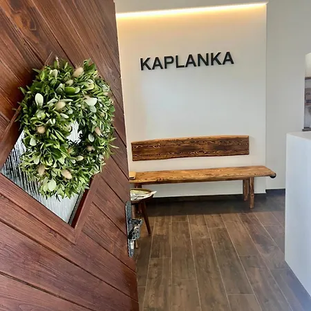 Pensión Kaplanka 3*