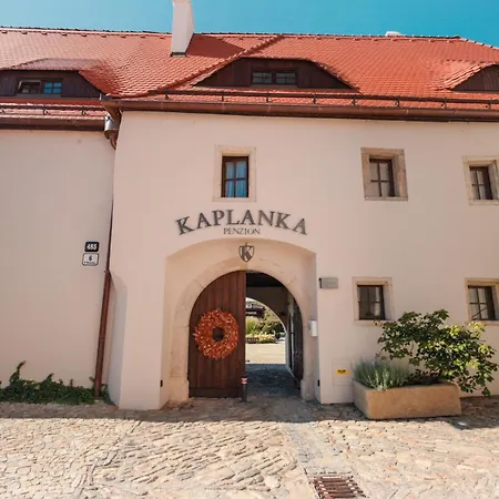 Kaplanka Pensión 3*